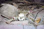 Bones near St. George church. Lalibela. North, Ethiopia.