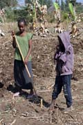 Village south of Addis Abbeba. South, Ethiopia.