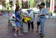 Flower selling infront of chinese temple. Singapore.