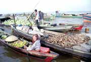 Floating market in Banjarmasin. Kalimantan,  Indonesia.