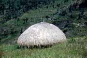 Dani hut. Papua,  Indonesia.