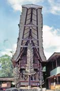 Traditional house tongkonan, Tana Toraja area. Sulawesi, Indonesia.