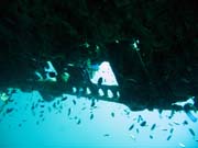 Diving around Togian islands, Kadidiri, plane wreck B24 from the 2nd World War sunken on Mai 3rd, 1945. Sulawesi,  Indonesia.
