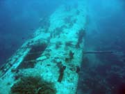 Diving around Biak islands, Catalina wreck dive site. Indonesia.