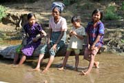 Camp with working elephants. Taungoo town area. Myanmar (Burma).