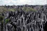 Grands Tsingy, Tsingy de Bemaraha National park. Madagascar.