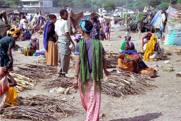 At the market at Dire Dawa. East,  Ethiopia.