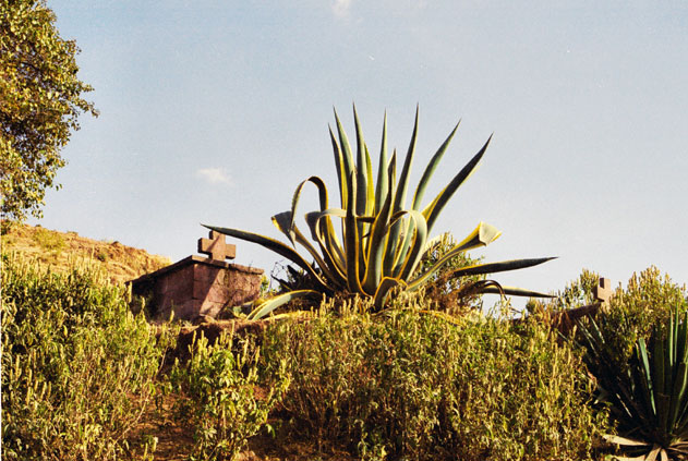 Christian grave. Lalibela. North,  Ethiopia.