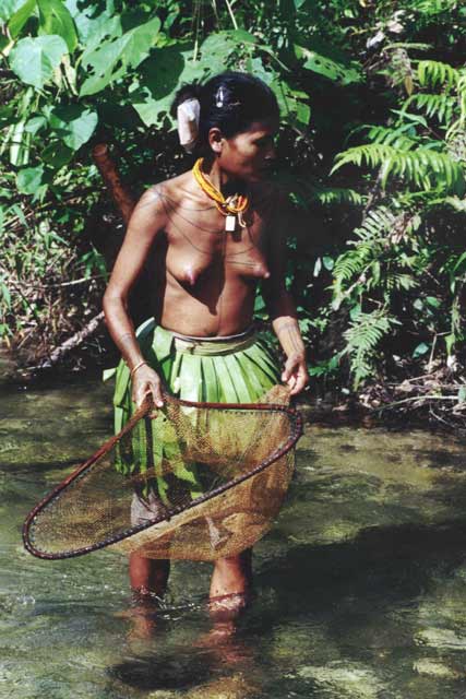 Fishing. Siberut island. Sumatra,  Indonesia.