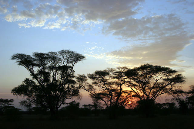 Sunshine at Murlle. South,  Ethiopia.