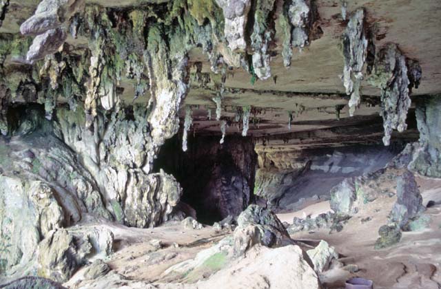 Niah cave. Sarawak,  Malaysia.