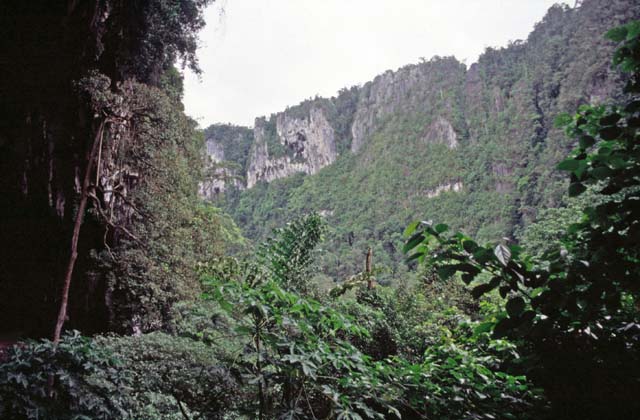 Around Niah cave. Sarawak,  Malaysia.