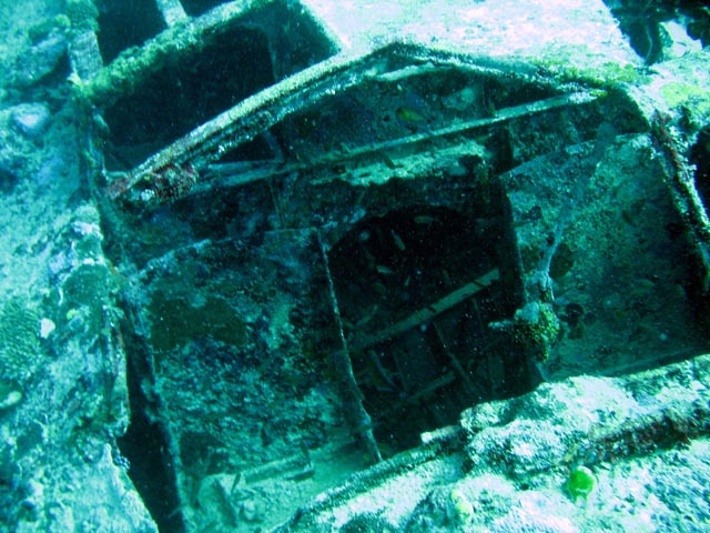 Diving around Biak islands, Catalina wreck dive site. Papua,  Indonesia.