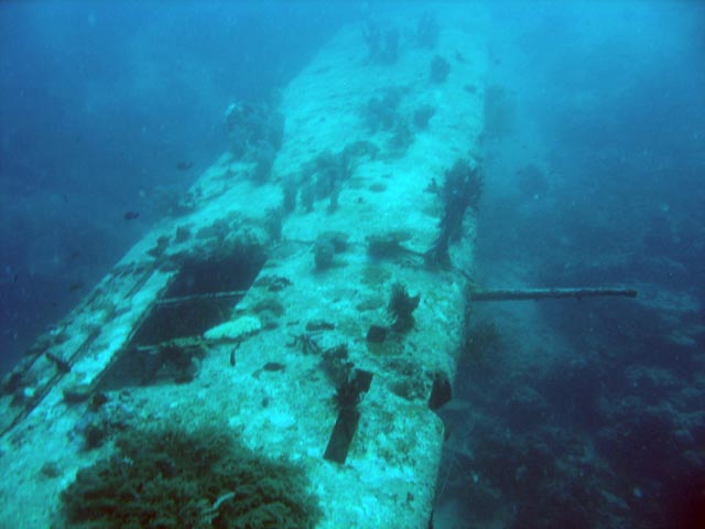 Diving around Biak islands, Catalina wreck dive site. Papua,  Indonesia.