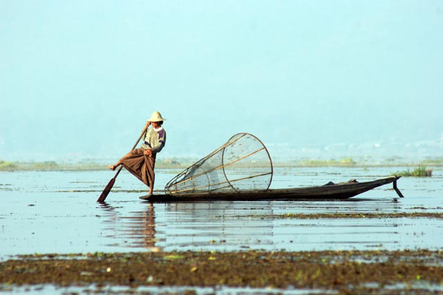Traditional fishing, Inle Lake. Myanmar (Burma).