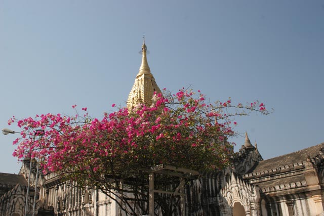 The Temples of Bagan cover an area of 16 square miles. The majority of its buildings were built in the 1000s to 1200s, during the time Bagan was the capital of the First Burmese Empire. Myanmar (Burma).