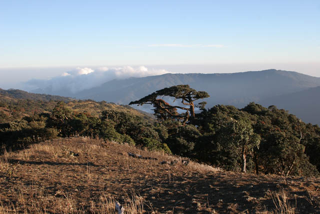 View from the top of Mt. Victoria. Chin State. Myanmar (Burma).