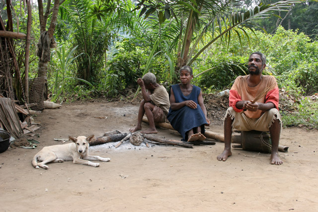 Pygmy village down to the Lobe River. The Pygmy people are forest dwellers, know the forest, its plants and its animals. They live by hunting animals such as antelopes, pigs and monkeys, fishing, and gathering honey, wild yams, berries and other plants. Cameroon.