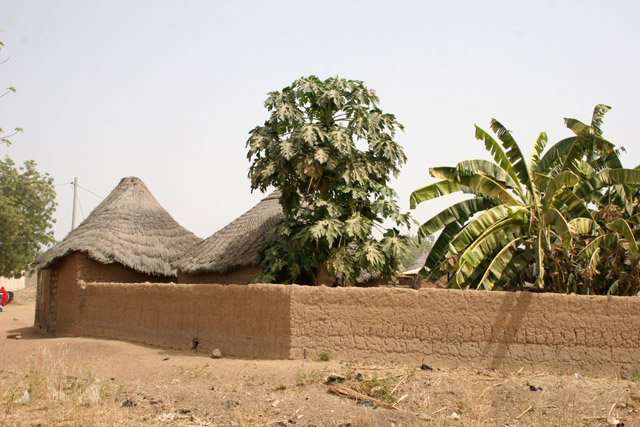 Traditional muddy architecture at Rey Bouba village. Cameroon.