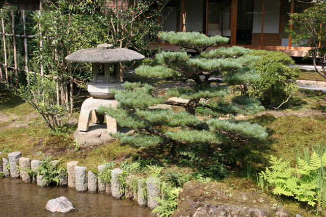 Kenroku-en garden, Kanazawa town. Japan.